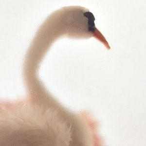 Meet your Posher, Rbeey